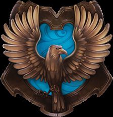Blue and Bronze. An Harry Potter A.U.