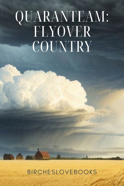 Quaranteam: Flyover Country