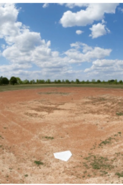 In Hampton's Fields