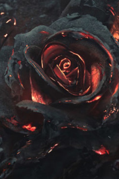 Seed of Desire