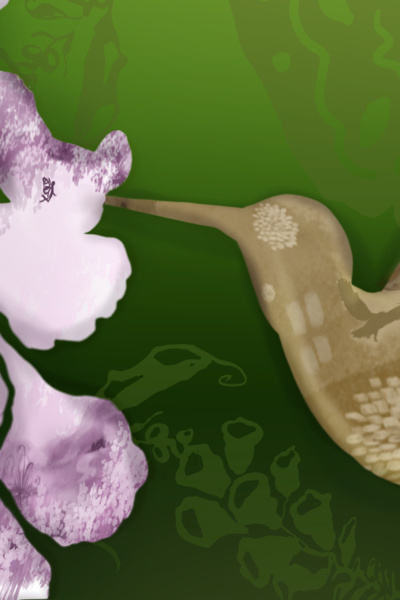 Foxglove