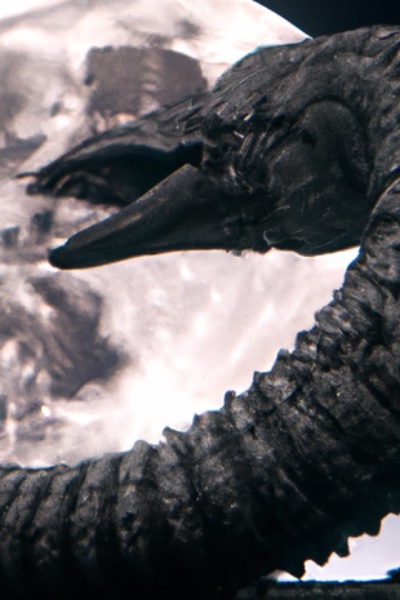 Wormhole Redemption