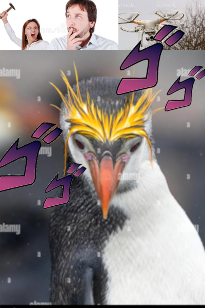 Miracle Penguin