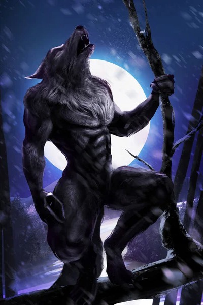 The Forgotten Wolf