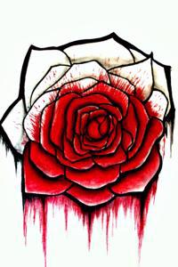 The Red Lady