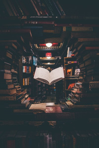 Project Book