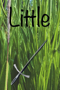 LITTLE