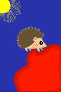 A porcupines tail