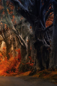 Twisted Tales