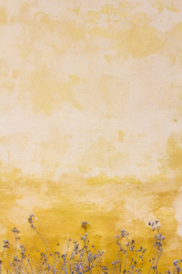 Diary of the Golden Goose