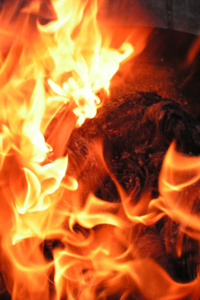 Apostle of Flame