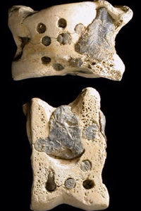 Knucklebones