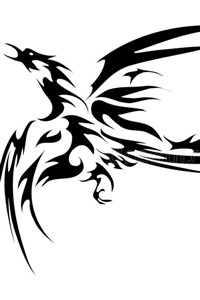 reincarnation of a phoenix