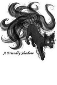 A Friendly Shadow
