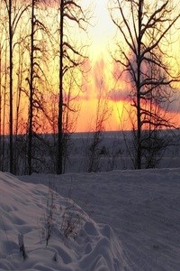 Burning Winter