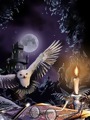 Harry Potter and The Force of Magic