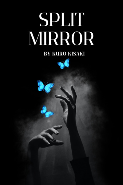Split Mirror